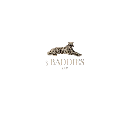 3 Baddies Logo
